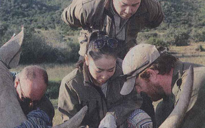 Popsterre uit die Ooste sal nou renosterboodskap uitdra