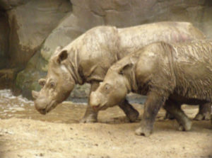 10070_Wilderness_Info Center Website FINAL