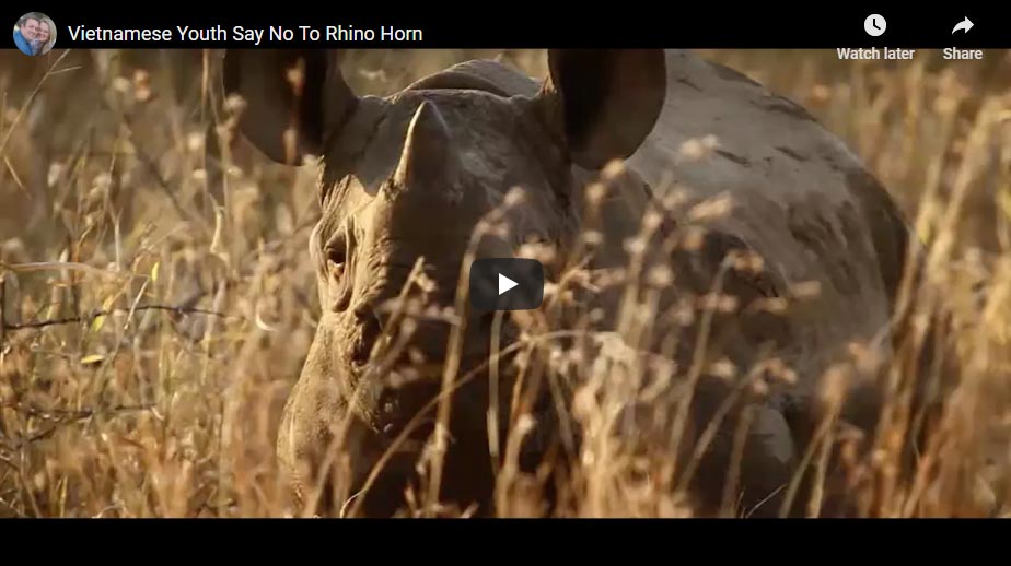 Khám phá chiến dịch Wild Rhino