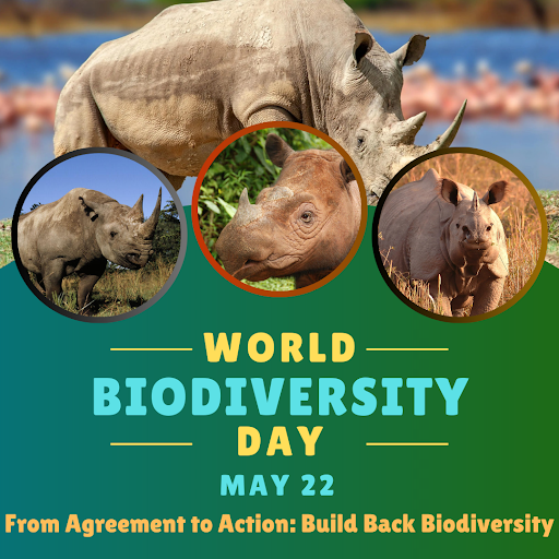 CHÚC MỪNG NGÀY ĐA DẠNG SINH HỌC THẾ GIỚI !!!